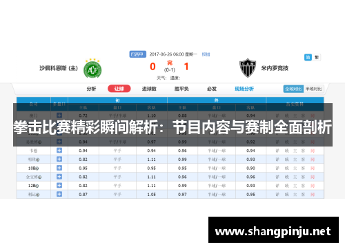 拳击比赛精彩瞬间解析：节目内容与赛制全面剖析