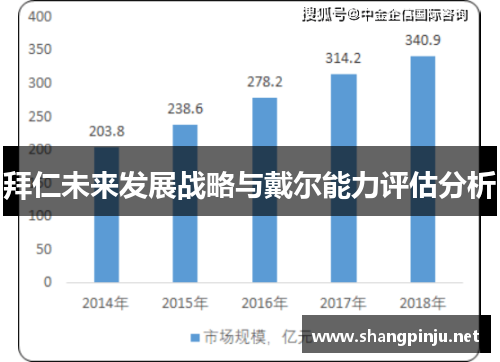 拜仁未来发展战略与戴尔能力评估分析 拜仁未来发展战略与戴尔能力评估分析