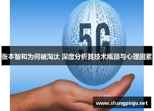 张本智和为何被淘汰 深度分析其技术瓶颈与心理因素