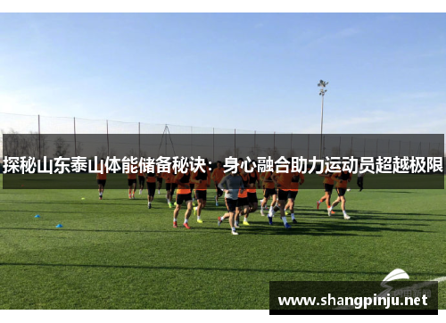 探秘山东泰山体能储备秘诀：身心融合助力运动员超越极限