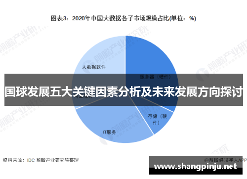 国球发展五大关键因素分析及未来发展方向探讨