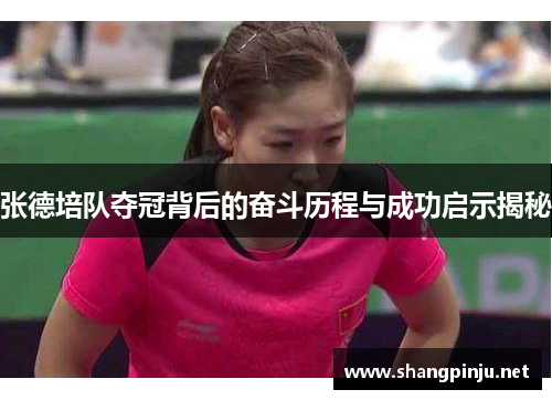 张德培队夺冠背后的奋斗历程与成功启示揭秘