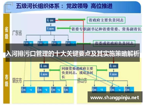 入河排污口管理的十大关键要点及其实施策略解析