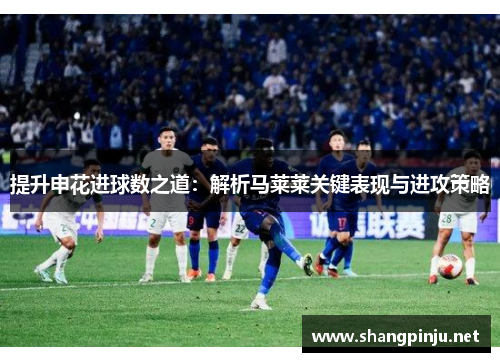 提升申花进球数之道：解析马莱莱关键表现与进攻策略