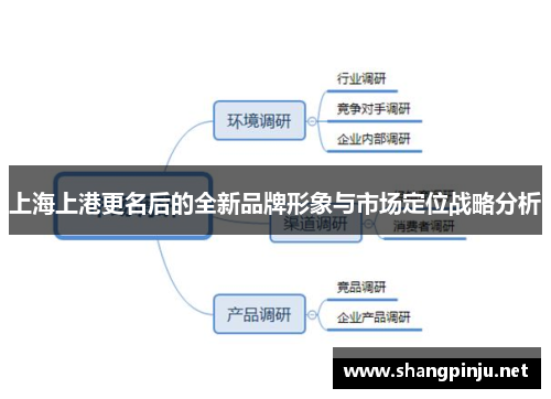 上海上港更名后的全新品牌形象与市场定位战略分析