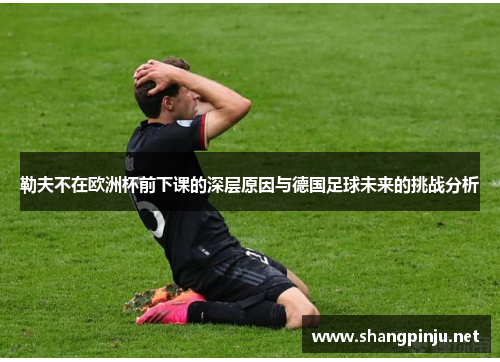 勒夫不在欧洲杯前下课的深层原因与德国足球未来的挑战分析