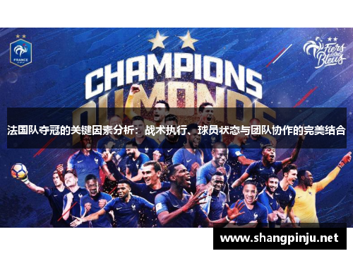 法国队夺冠的关键因素分析：战术执行、球员状态与团队协作的完美结合