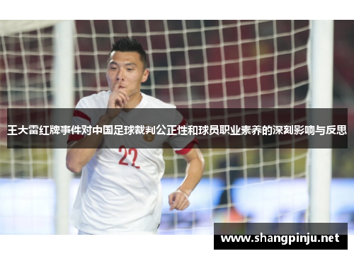 王大雷红牌事件对中国足球裁判公正性和球员职业素养的深刻影响与反思