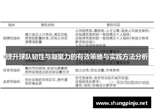 提升球队韧性与凝聚力的有效策略与实践方法分析