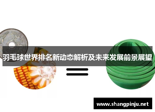 羽毛球世界排名新动态解析及未来发展前景展望