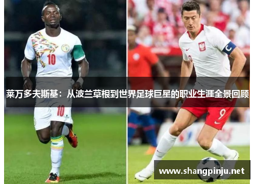 莱万多夫斯基：从波兰草根到世界足球巨星的职业生涯全景回顾