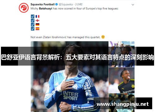 巴舒亚伊语言背景解析:五大要素对其语言特点的深刻影响 巴舒亚伊语言背景解析:五大要素对其语言特点的深刻影响